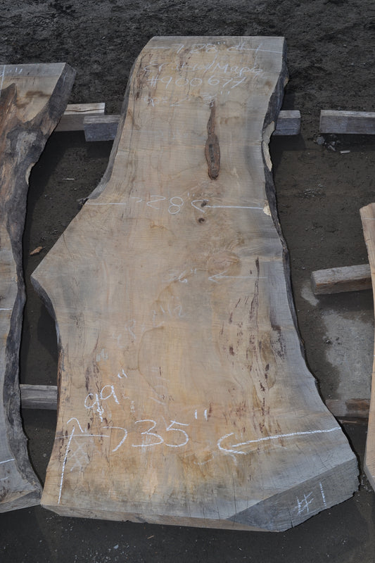 Slab en érable du manitoba (#900677). Bois séché au four. 