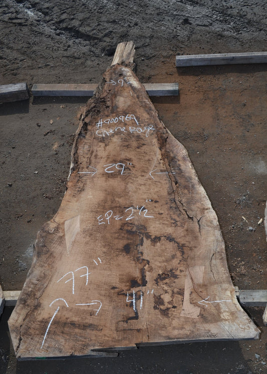 Slab en Chêne rouge (#900969). Bois séché au four. 