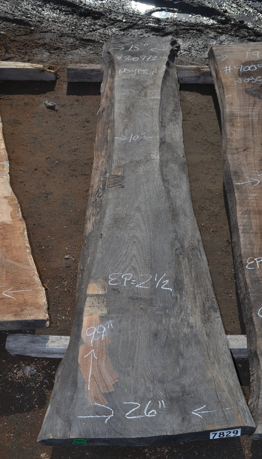 Kiln dried Black Walnut Slab (#900972)