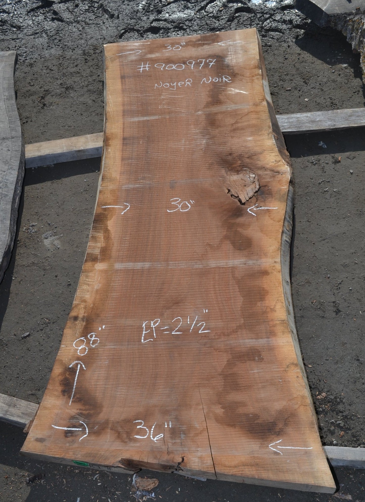 Kiln dried Black Walnut Slab(#900977)