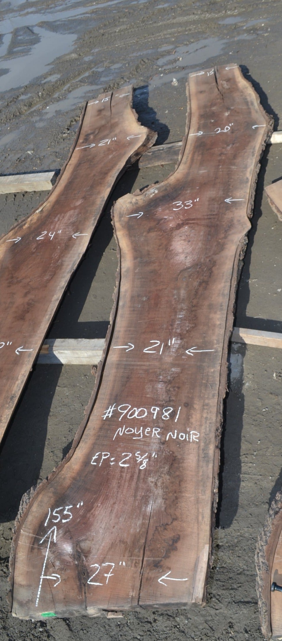 One piece ambrosia maple body blank (#ELG-301)