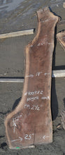 Load image into Gallery viewer, One piece ambrosia maple body blank (#ELG-302)
