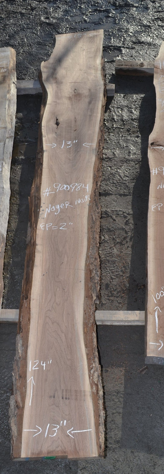 Kiln dried Black Walnut Slab(#900984)