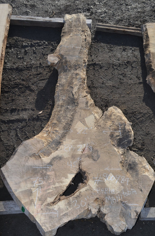 Slab en érable du manitoba (#900989). Bois séché au four. 