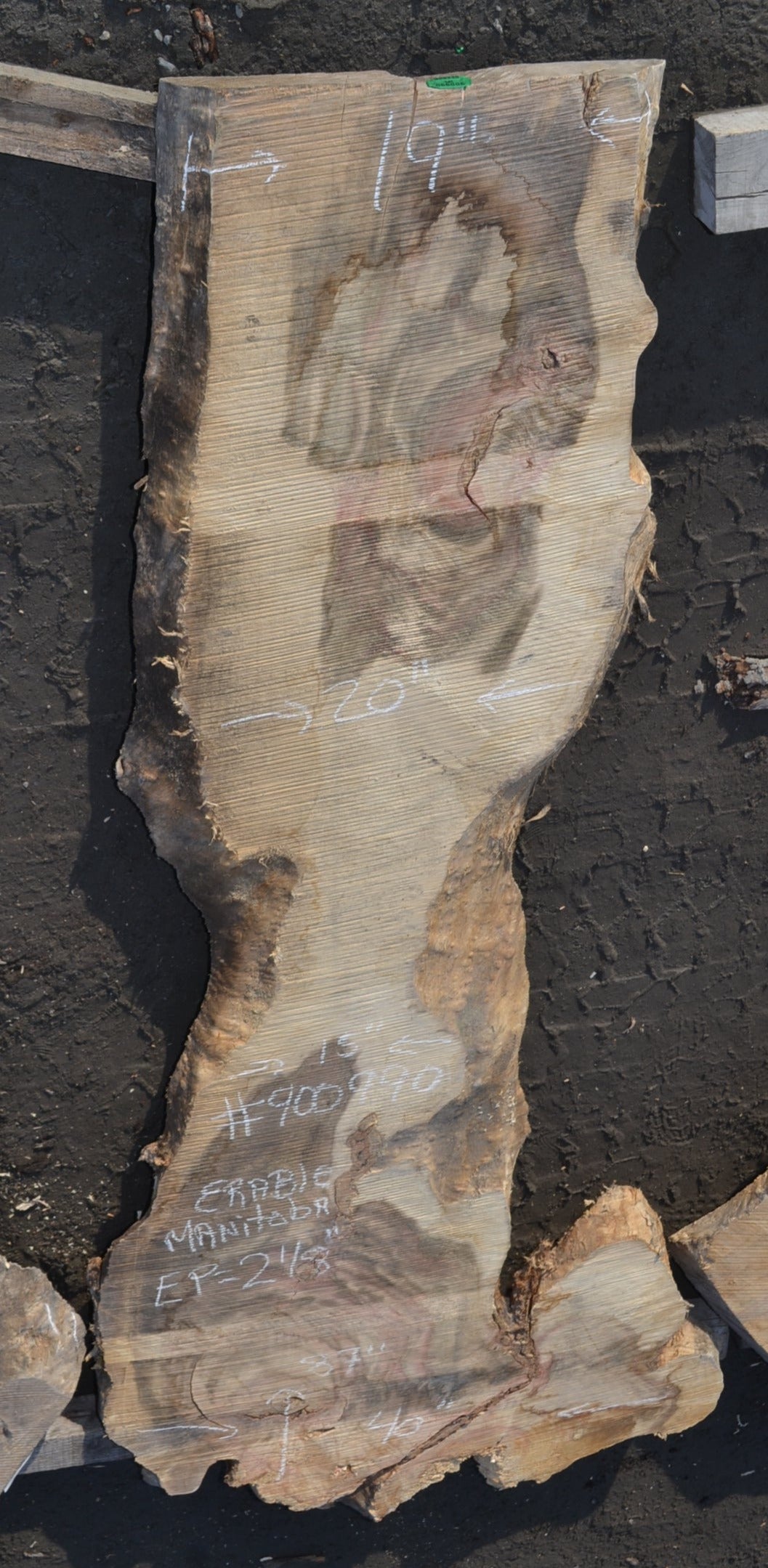 Slab en érable du manitoba (#900990). Bois séché au four. 