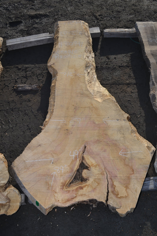 Slab en érable du manitoba (#900991). Bois séché au four. 