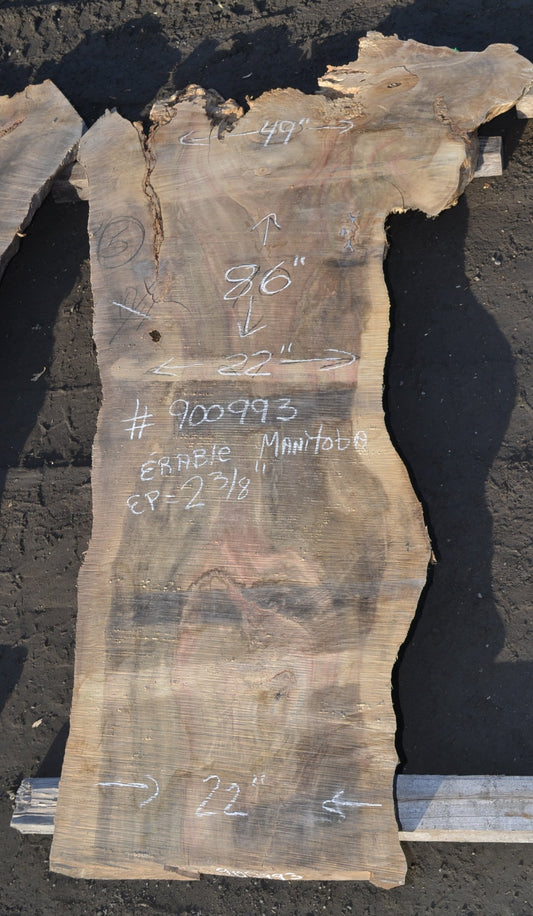 Slab en Érable (#900993). Bois séché au four. 