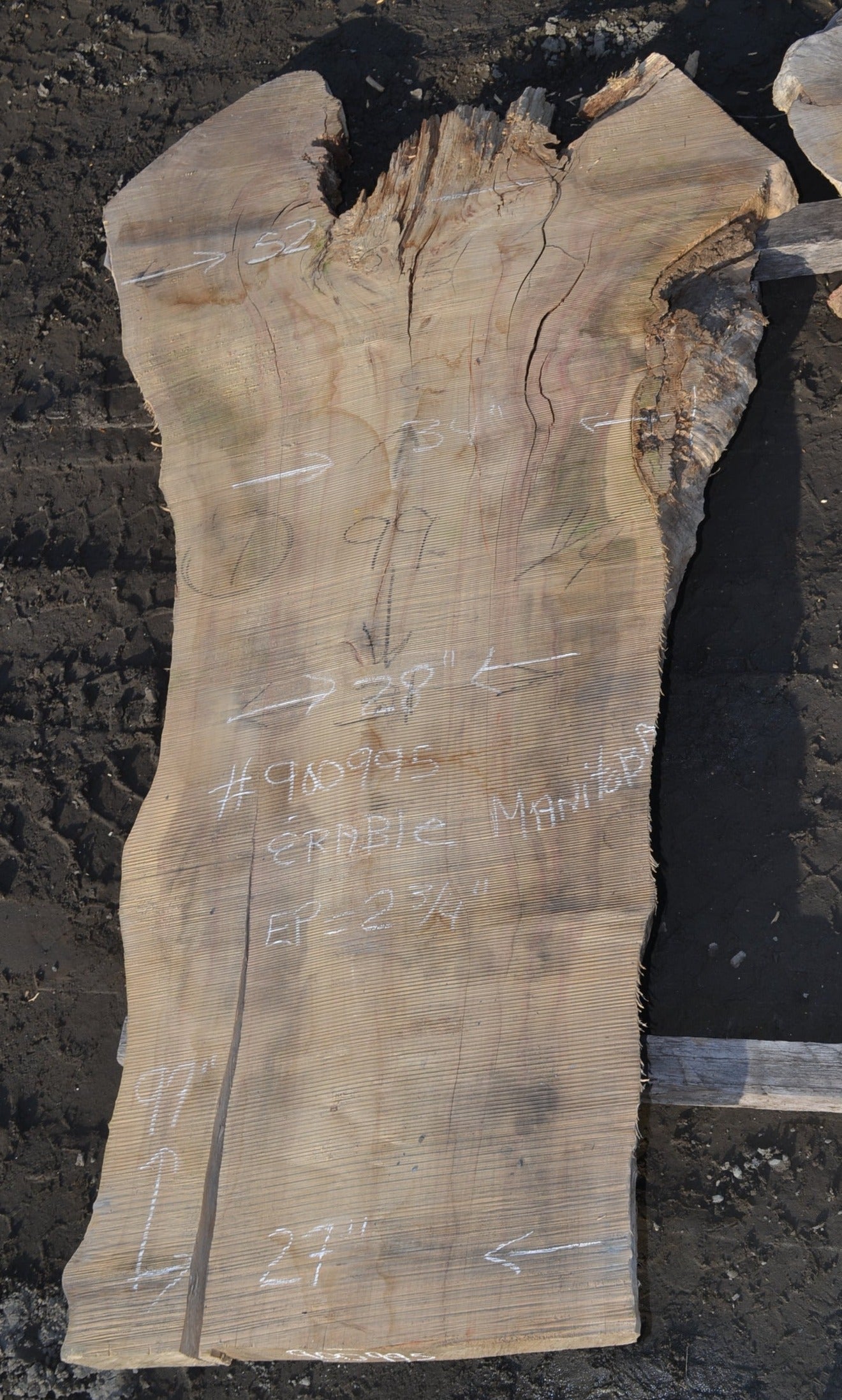 Kiln dried Manatoba Maple Slab #900995)