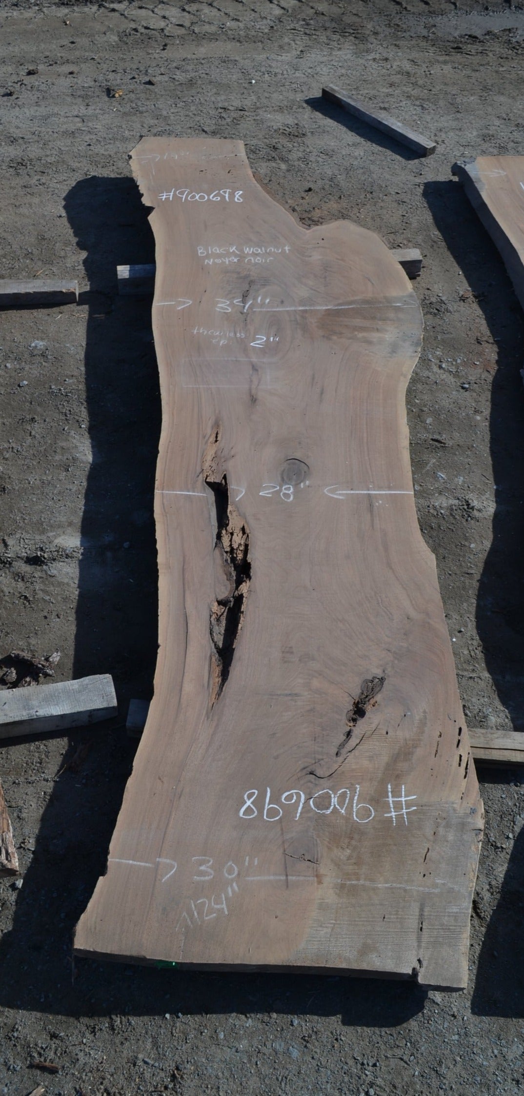 Kiln dried Black Walnut Slab (#900698)