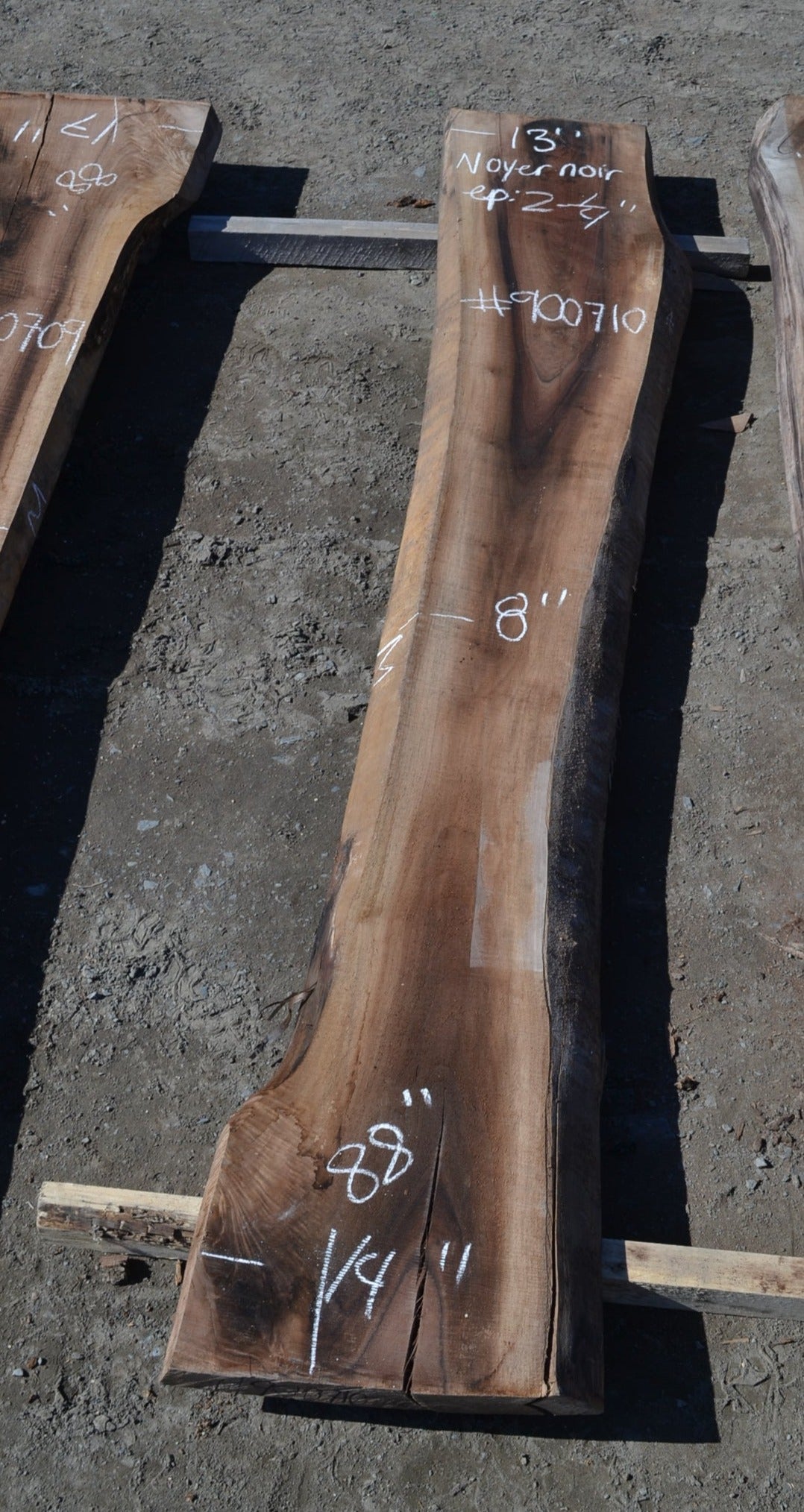 Kiln dried Black Walnut Slab (#900710)