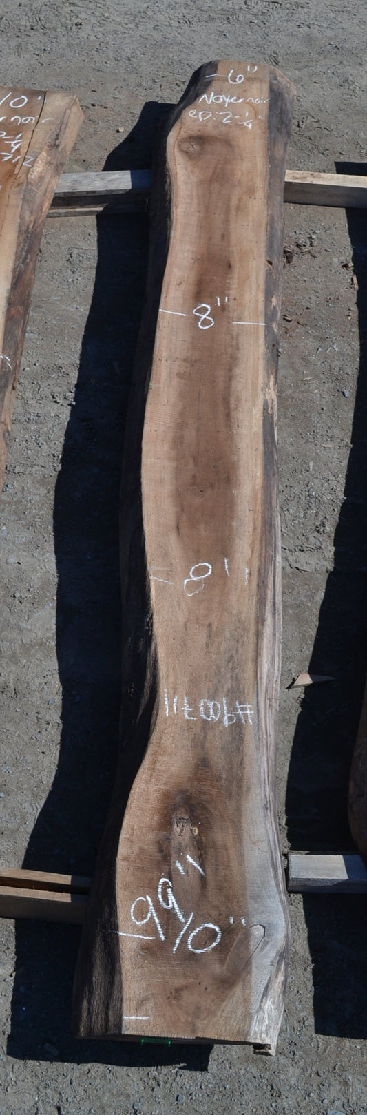 Kiln dried Black Walnut Slab (#900711)