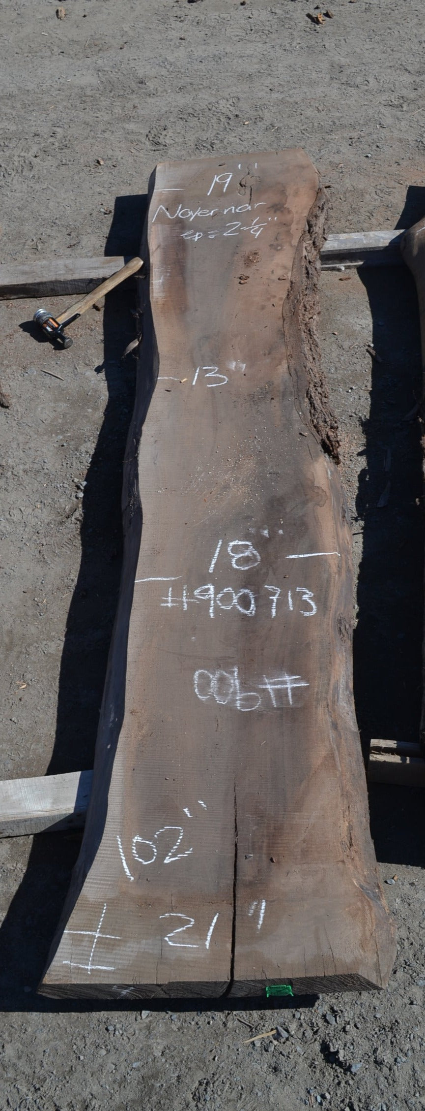 Kiln dried Black Walnut Slab (#900713)