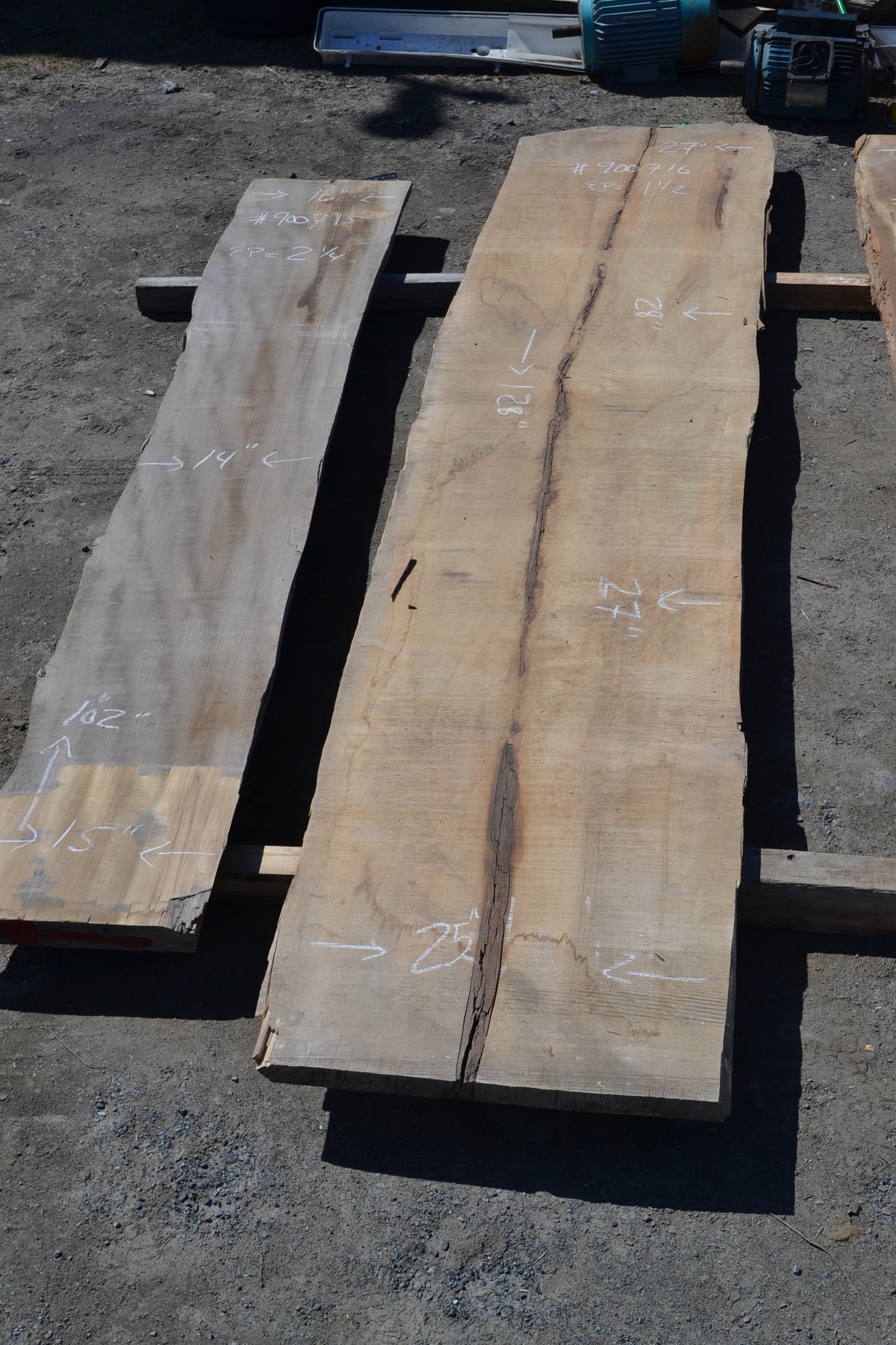 Kiln dried Maple Slab. (#900716)