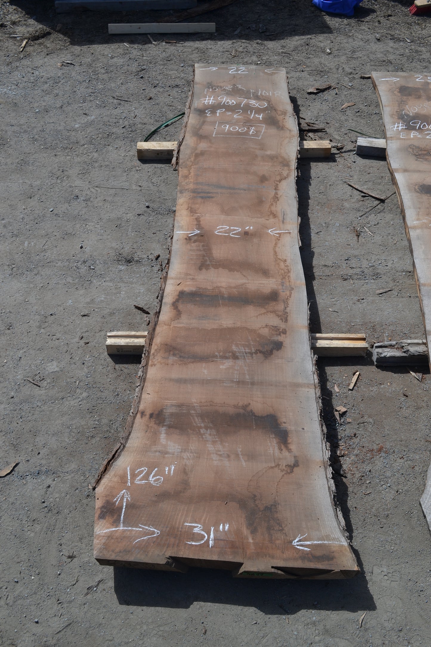 Kiln dried Black Walnut Slab (#900730)