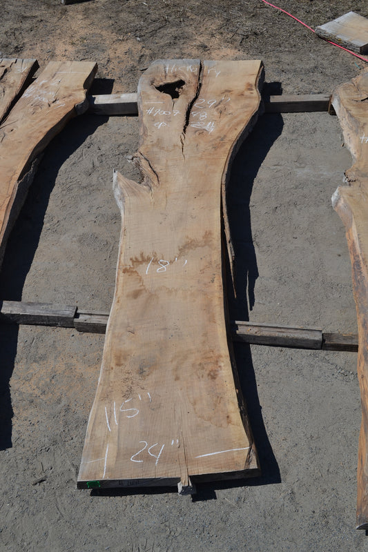 Kiln dried Hickory Slab (#900748)