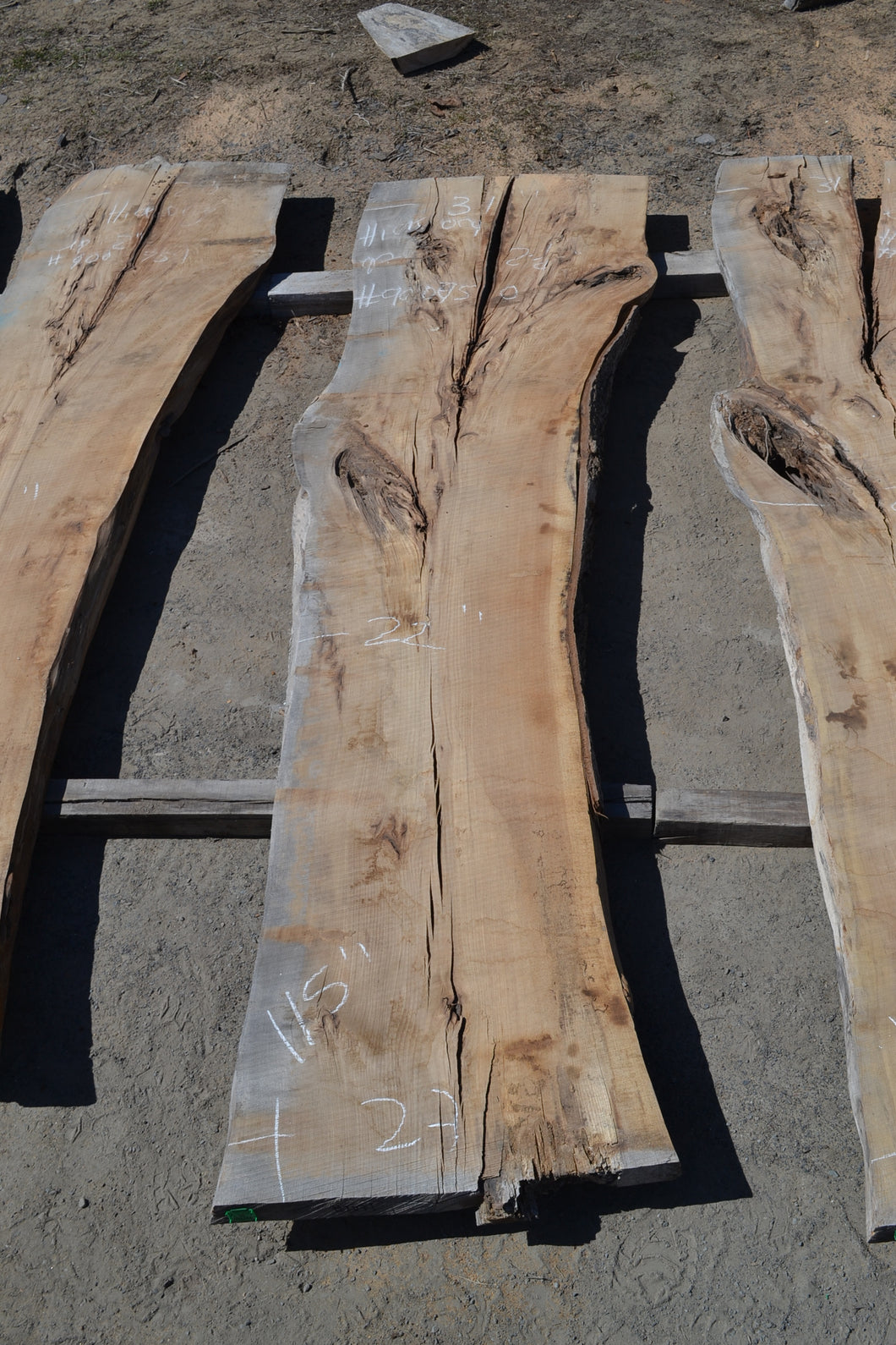 Kiln dried Hickory Slab (#900750)
