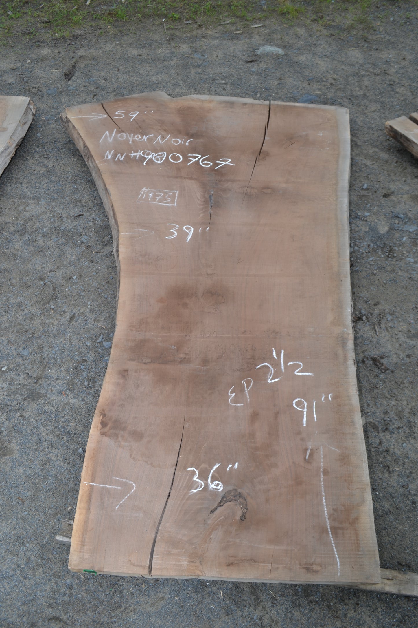 Kiln dried Black Walnut Slab (#900767)