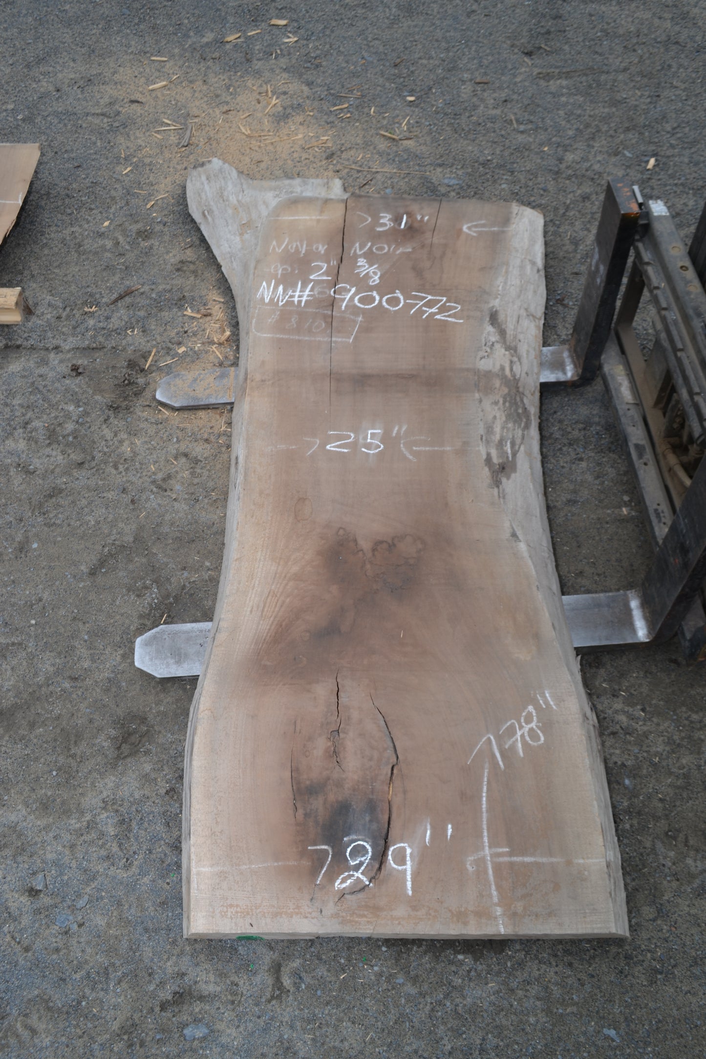 Kiln dried Black Walnut Slab (#900772)