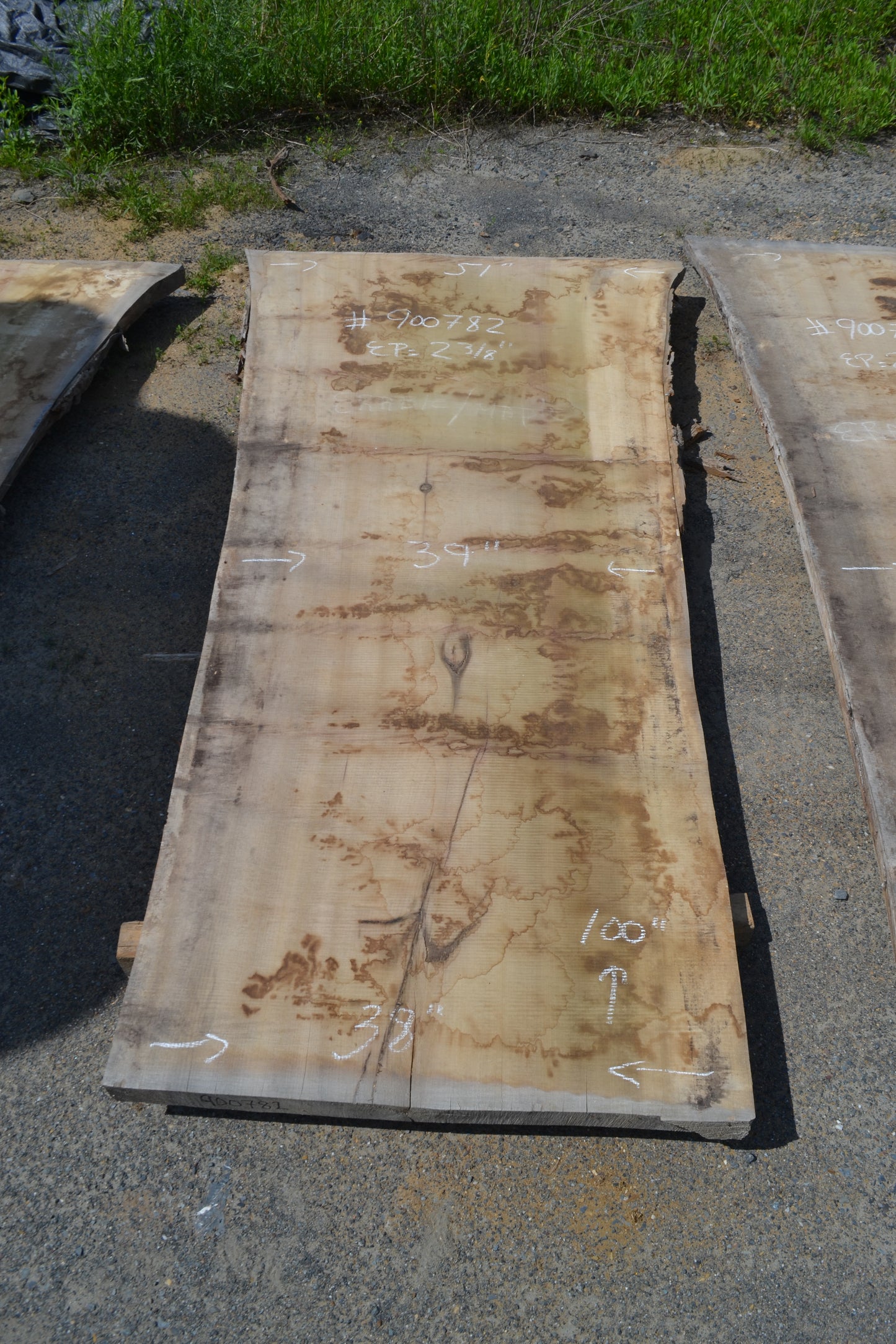 Kiln dried Tulip Slab (#900782)