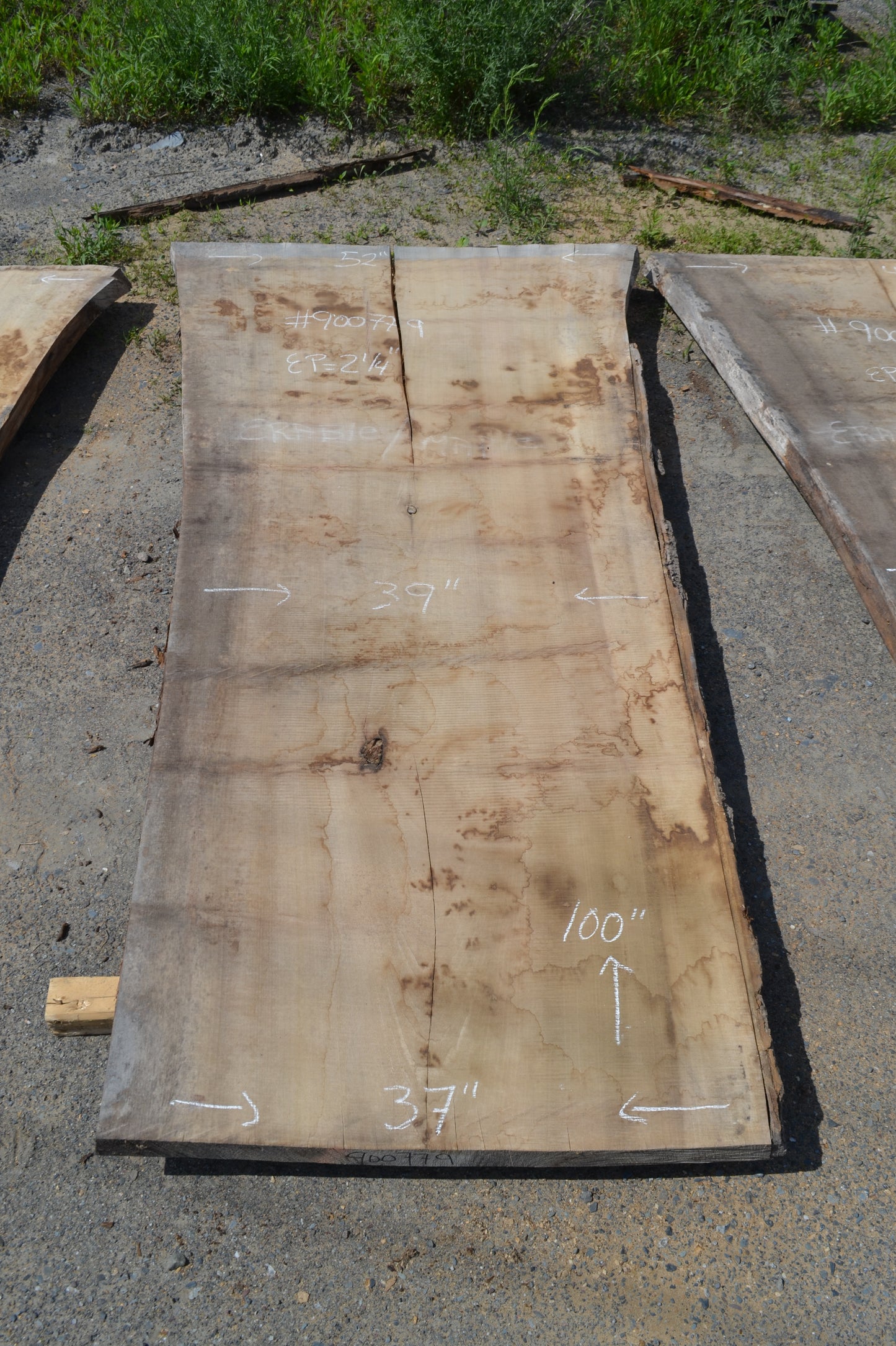 Kiln dried Tulip Slab (#900779)