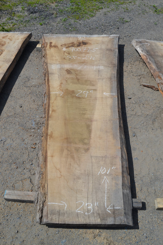 Kiln dried Tulip Slab (#900775)