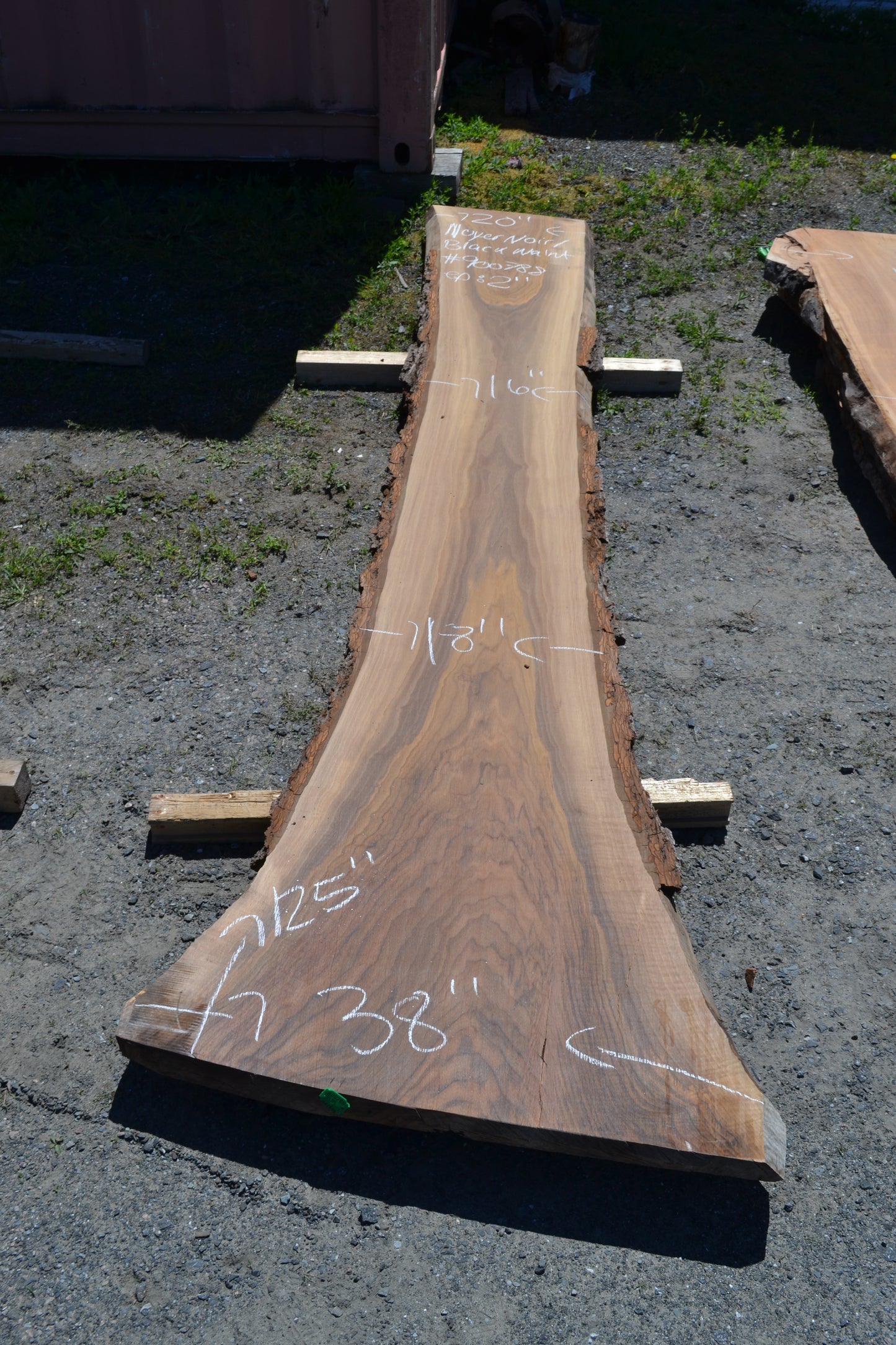 KD Black Walnut Slab (#900788)