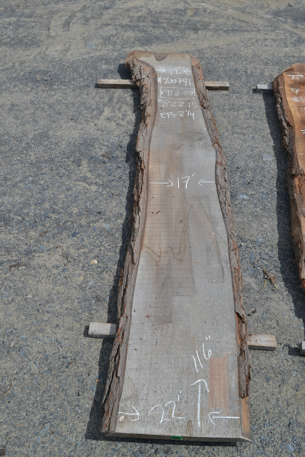 KD Black Walnut Slab (#900791)