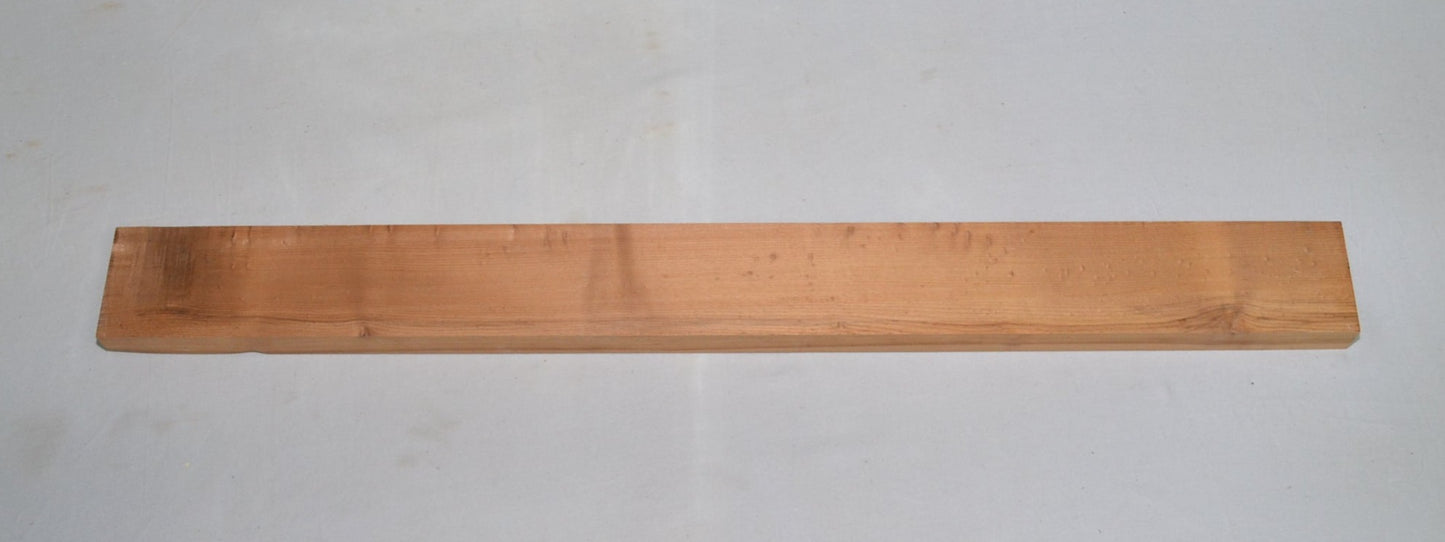 Torrefied Curly Hard Maple Neck (#elg-401)