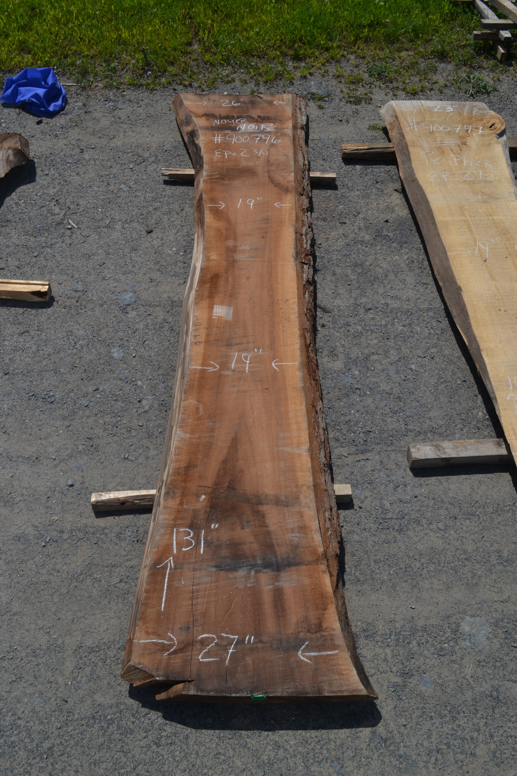 KD Black Walnut Slab (#900796)