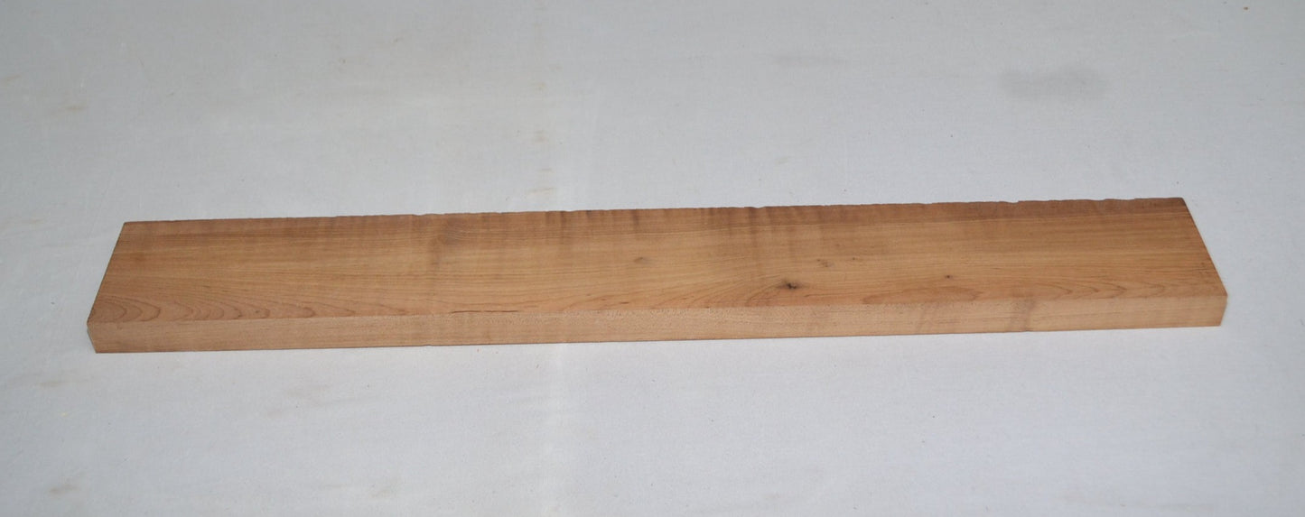 Torrefied curly hard maple neck (#elg-403)