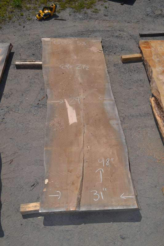 Érable argenté KD Plot(slab). (#G-3)