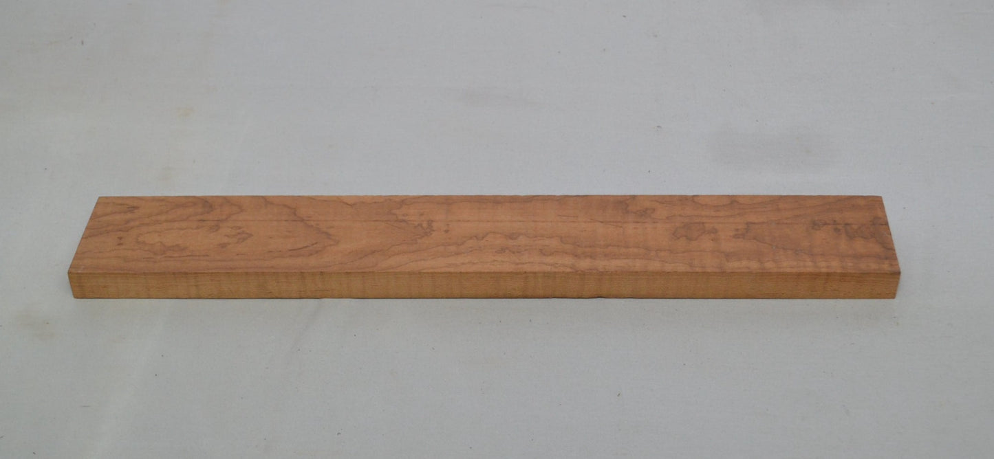 Torrefied curly silver Maple Neck (elg-405)