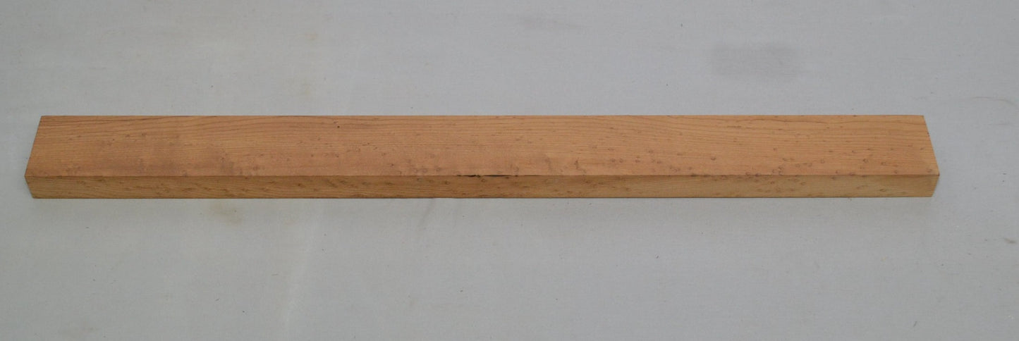 Torrefied birdseye hard Maple neck (#elg-407)