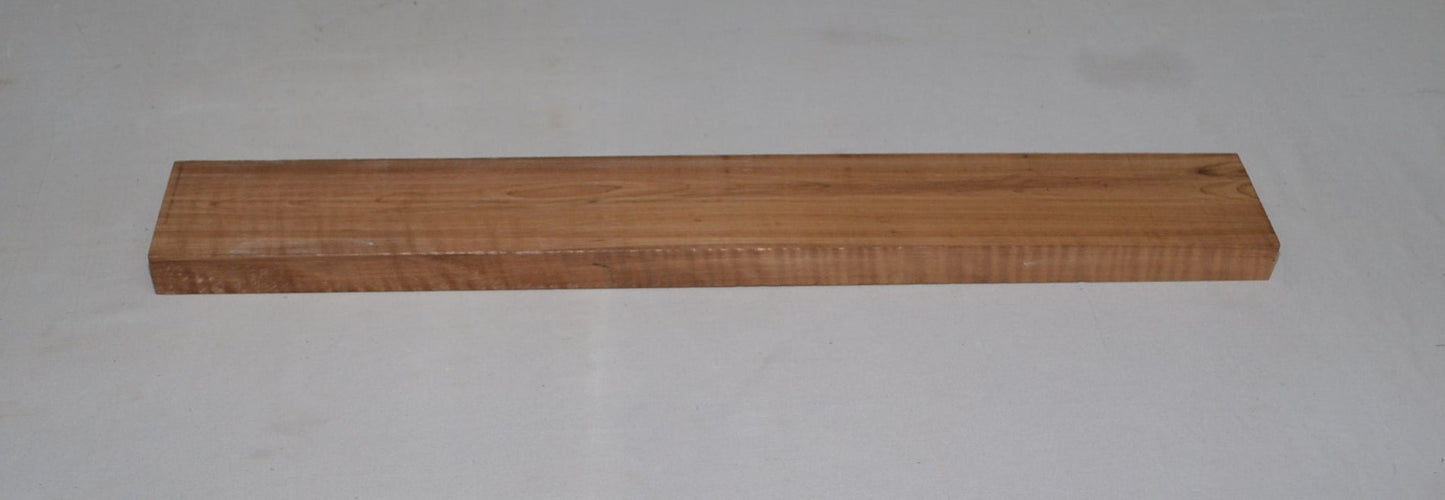 orrefied Curly hard Maple Neck (#elg-408)