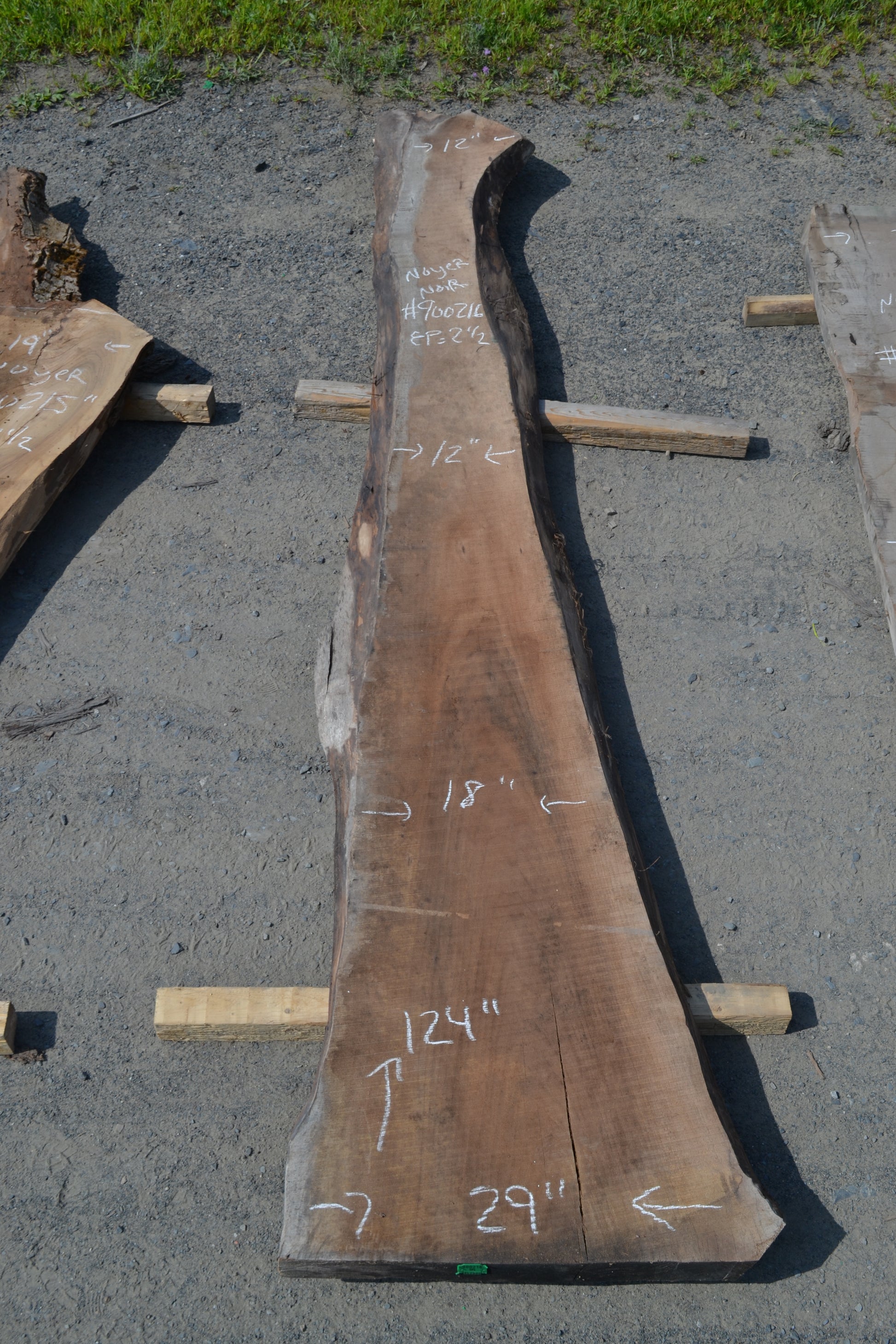 Black Walnut Slab