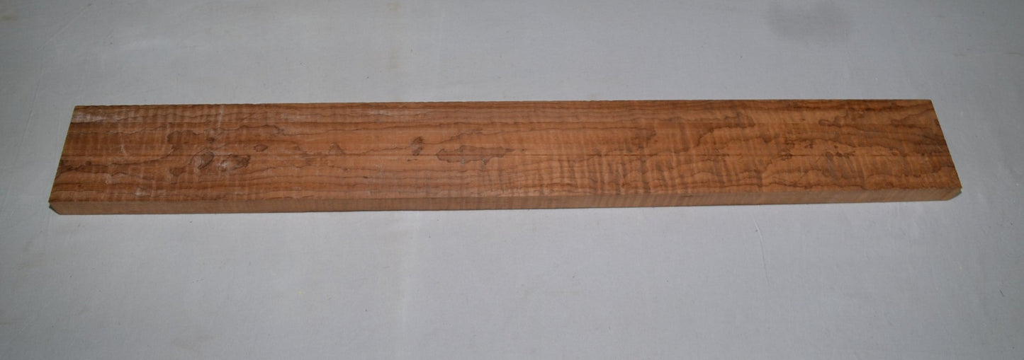 Roaster curly Silver maple neck (#elg-411)