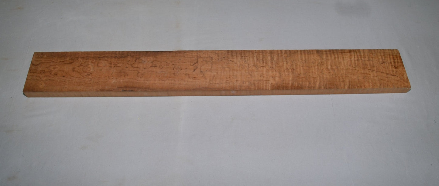 Roaster curly Silver maple neck (#elg-411)