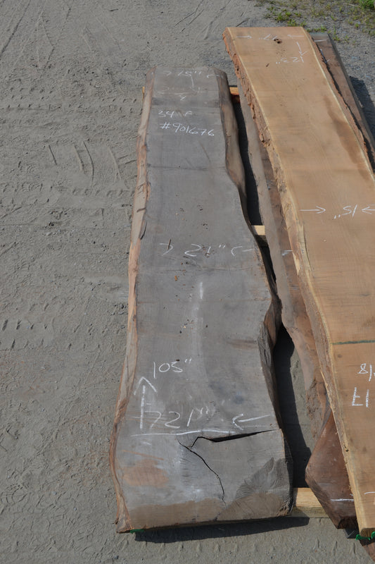 Black Walnut KD Live edge lumber (#901676)