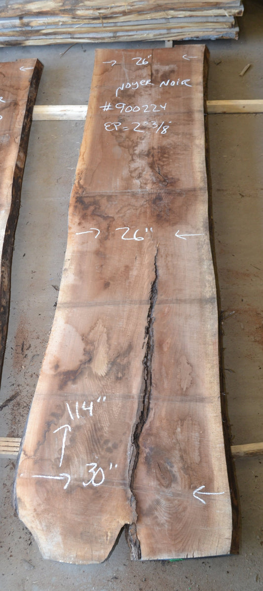 Black Walnut KD Slab