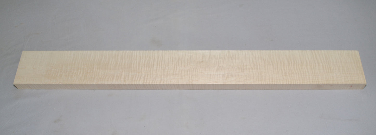 Curly Hard Maple Neck (#elg-415)