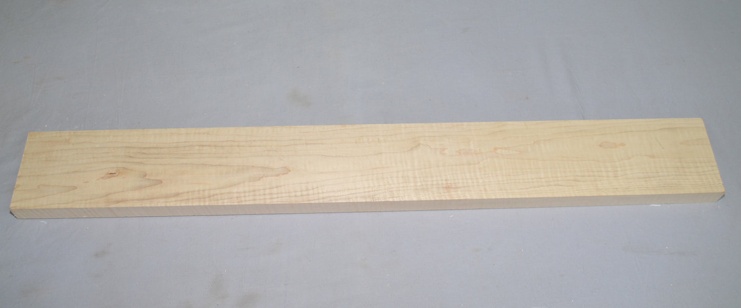 Curly Hard Maple Neck (#elg-419)