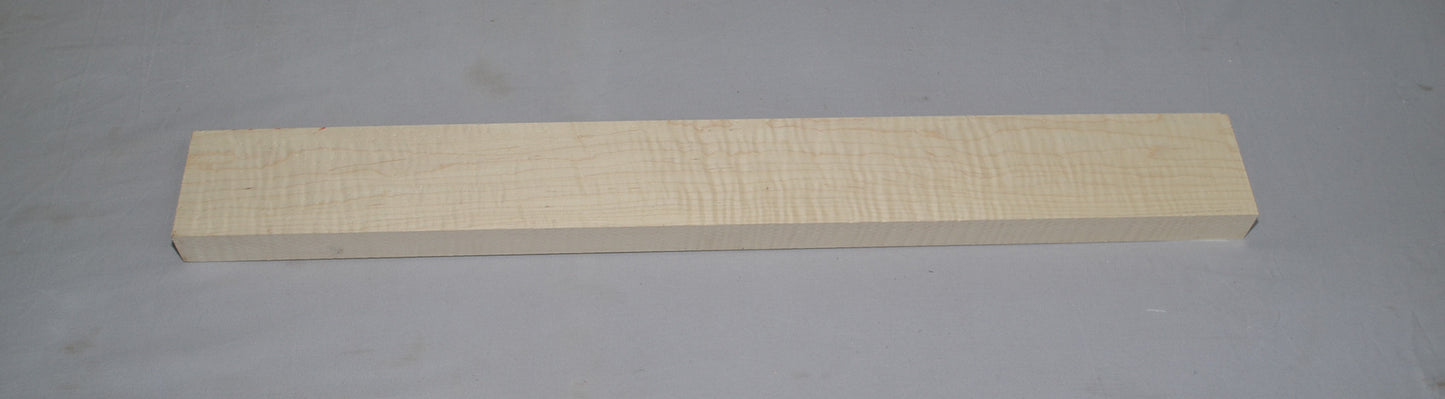 Curly hard maple neck (#elg-436)