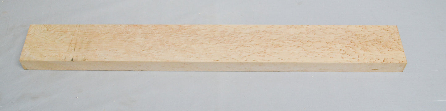 Birdseye Maple Neck (#elg-449)