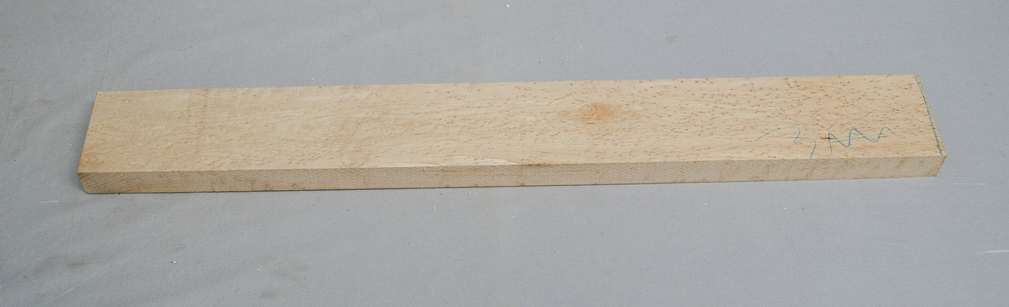 Birdseye Maple Neck (#elg-449)