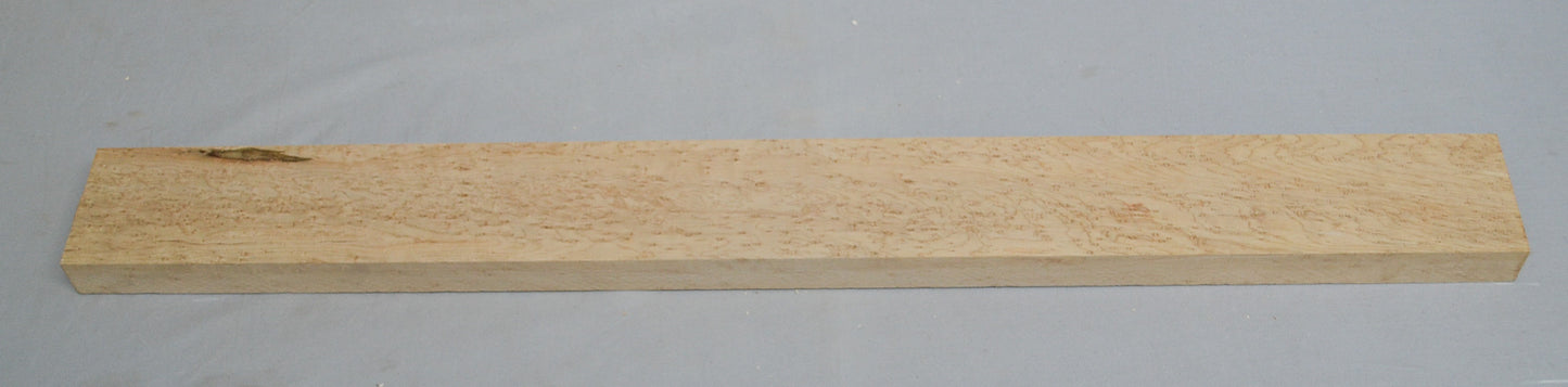 Birdseye Maple Neck (#elg-450)