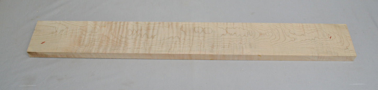 Curly Hard Maple Neck (#elg-459)