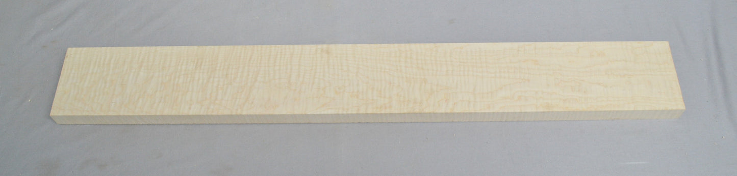 Curly Hard Maple Neck Master Grade (#elg-461)