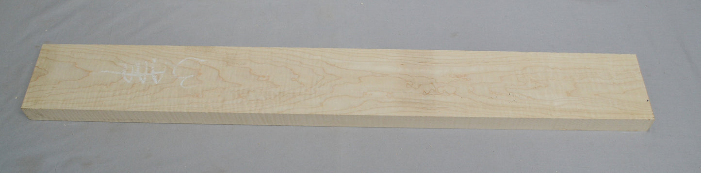 Curly Hard Maple Neck (#elg-462)