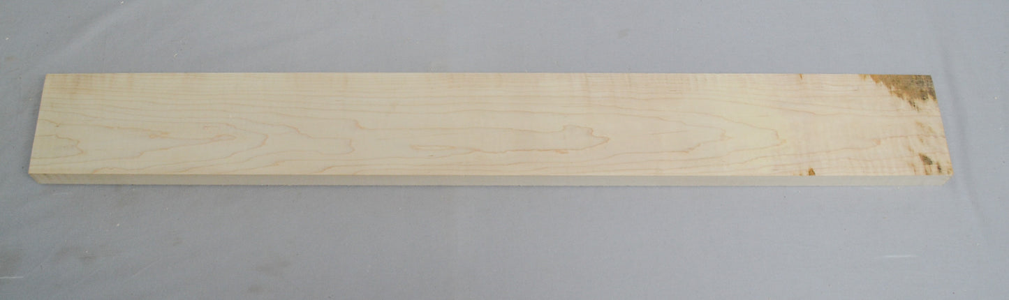 Curly Hard Maple Neck (#elg-469)