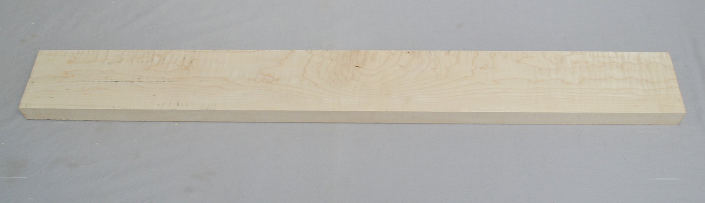 curly hard maple neck (#elg-470)